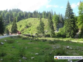 teren-montan-1055-mp-cabana-voina-leresti-arges-1