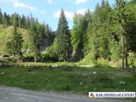 teren-montan-1055-mp-cabana-voina-leresti-arges-3