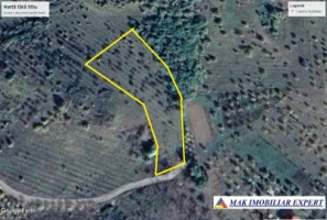 teren-8500-mp-extravilan-draghici-mihaesti-arges-1