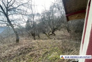 teren-intravilan-2478-mp-cu-cabana-bradetu-bradulet-arges-1