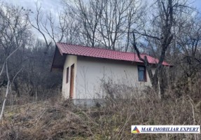 teren-intravilan-2478-mp-cu-cabana-bradetu-bradulet-arges-3