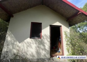 teren-intravilan-2478-mp-cu-cabana-bradetu-bradulet-arges-4