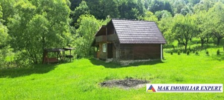 vand-cabana-lemn-4-camere-teren-1000-mp-bradulet-arges-1