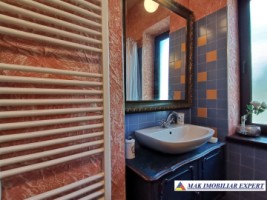 conac-14-camere-teren-6230-mp-bughea-de-jos-arges-31