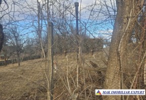 vand-teren-2343-mp-intravilan-campulung-muscel-arges-5