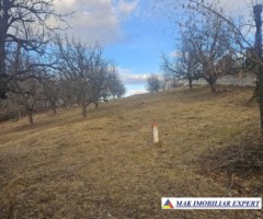 vand-teren-2343-mp-intravilan-campulung-muscel-arges-6