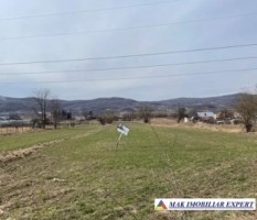 teren-intravilan-2650-mp-bradulet-arges