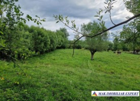 2-terenuri-8396-mp-extravilan-de-vanzare-in-bradulet-arges