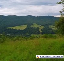 teren-munte-ieftin-4-ha-extravilan-in-nucsoara-arges-1