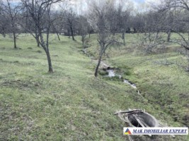 vand-teren-6000-mp-intravilan-nucsoara-arges