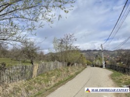 vand-teren-6000-mp-intravilan-nucsoara-arges-3