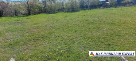teren-de-vanzare-158-ha-intravilan-boteni-arges