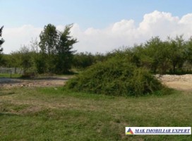 teren-2046-mp-intravilan-de-vanzare-in-aninoasa-arges-2