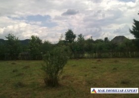 teren-2046-mp-intravilan-de-vanzare-in-aninoasa-arges-1