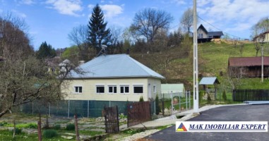 casa-3-camere-teren-3000-mp-nucsoara-arges-1