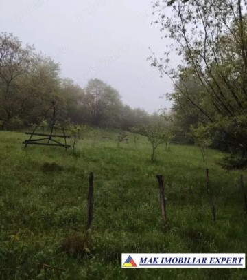 teren-2300-mp-extravilan-de-vanzare-nucsoara-arges-1