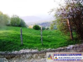 teren-3812-mp-extravilan-cretisoara-campulung-muscel-arges-2