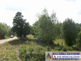 teren-3812-mp-extravilan-cretisoara-campulung-muscel-arges-3