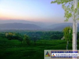 teren-3812-mp-extravilan-cretisoara-campulung-muscel-arges-1