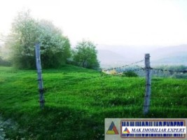 teren-3812-mp-extravilan-cretisoara-campulung-muscel-arges-4