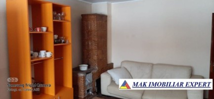 vila-5-camere-teren-1600-mp-de-vanzare-in-leresti-arges-13