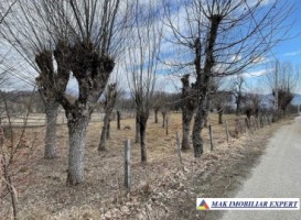teren-intravilan-2-loturi-6621mp-poienarei-corbi-arges-2