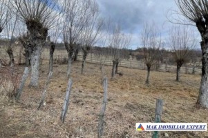 teren-intravilan-2-loturi-6621mp-poienarei-corbi-arges-3