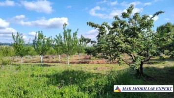 teren-7800-mp-intraextravilan-costesti-valsan-musatesti-ag-7