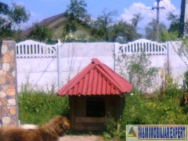 vila-tip-conac-4-camere-teren1366-mp-in-curtea-de-arges-ag-26