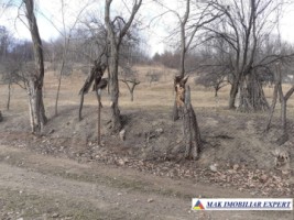 teren-2500-mp-intravilan-marcus-campulung-muscel-arges-2