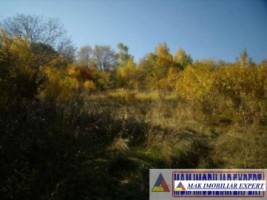 teren-2500-mp-intravilan-marcus-campulung-muscel-arges-4