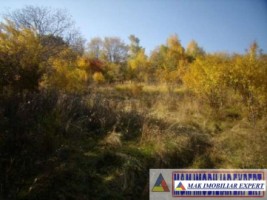 teren-2500-mp-intravilan-marcus-campulung-muscel-arges-5
