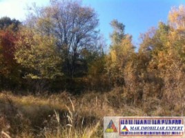teren-2500-mp-intravilan-marcus-campulung-muscel-arges-8
