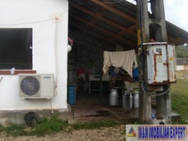 ferma-grajduri-58-ha-apa-sarata-campulung-muscel-arges-4