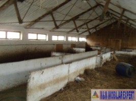 ferma-grajduri-58-ha-apa-sarata-campulung-muscel-arges-6