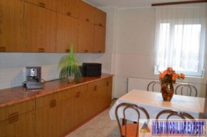 vila-8-camere-teren-1044-mp-de-vanzare-bughea-de-sus-arges-35