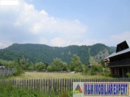 vila-la-rosu-teren-6300-mp-p-dambovitei-dambovicioara-arges-2