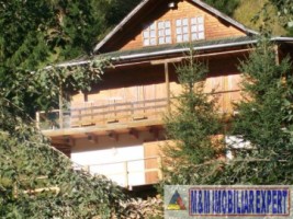 vila-cabana-montana-8-camere-teren-1-ha-rucar-satic-arges-2