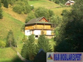 vila-cabana-montana-8-camere-teren-1-ha-rucar-satic-arges-1