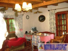 vila-cabana-montana-8-camere-teren-1-ha-rucar-satic-arges-3