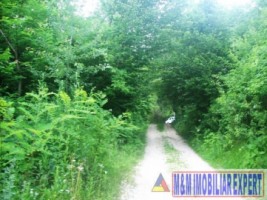 teren-intravilan-2-ha-in-v-barbusii-campulung-muscel-arges
