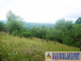 teren-intravilan-2-ha-in-v-barbusii-campulung-muscel-arges-3