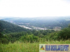 teren-intravilan-2-ha-in-v-barbusii-campulung-muscel-arges-5