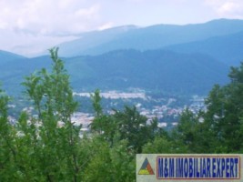 teren-intravilan-2-ha-in-v-barbusii-campulung-muscel-arges-6