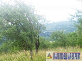 teren-intravilan-2-ha-in-v-barbusii-campulung-muscel-arges-7