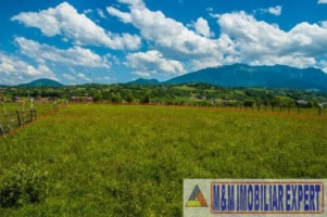 teren-5577-mp-intravilan-de-vanzare-in-bran-brasov-3