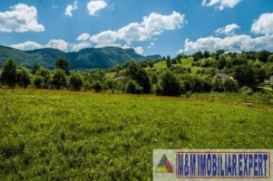 teren-5577-mp-intravilan-de-vanzare-in-bran-brasov-5