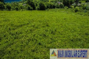 teren-5577-mp-intravilan-de-vanzare-in-bran-brasov-7