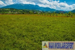 teren-5577-mp-intravilan-de-vanzare-in-bran-brasov-8