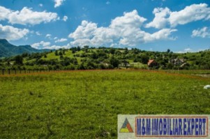 teren-5577-mp-intravilan-de-vanzare-in-bran-brasov-10